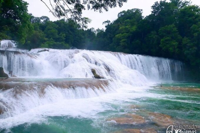 San Cristobal: Agua Azul, Misol Ha & Palenque Experience - Participant Information