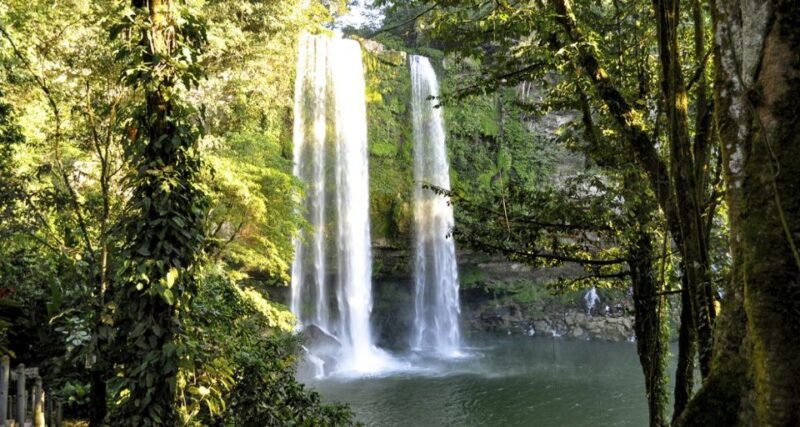 San Cristóbal: Agua Azul, Misol Ha & Palenque Experience - Key Points