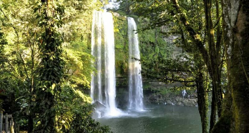 San Cristóbal: Agua Azul, Misol Ha, & Palenque Full-Day Tour - A Closer Look at the Itinerary and What You Can Expect