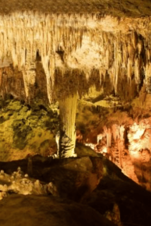 San Cristóbal: Arcotete Ecotourism Park & Rancho Nuevo Caves - Tour Highlights