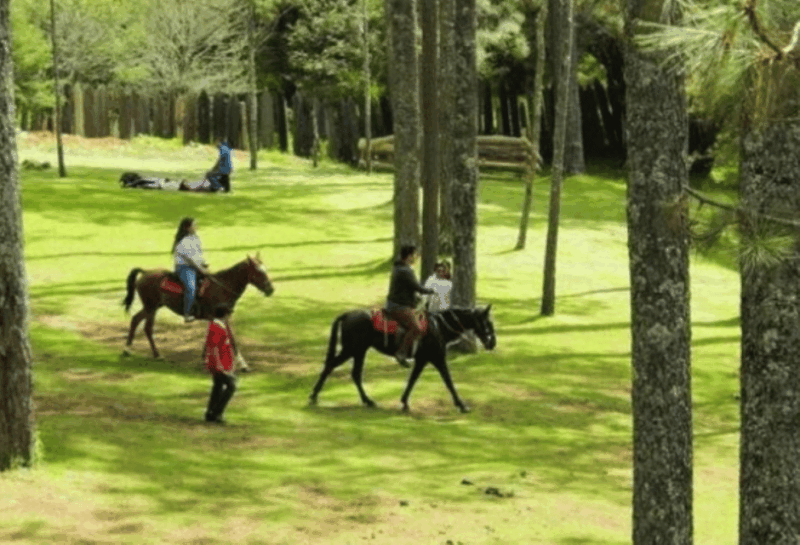 San Cristóbal: Arcotete Ecotourism Park & Rancho Nuevo Caves - Rancho Nuevo Caves