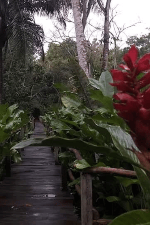 San Cristobal: Coffee Tour in the Mountains of Chiapas - Itinerary Details