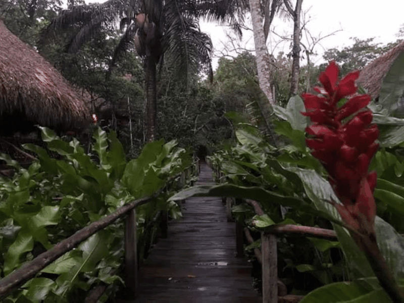San Cristobal: Coffee Tour in the Mountains of Chiapas - Mid-Morning Experiences