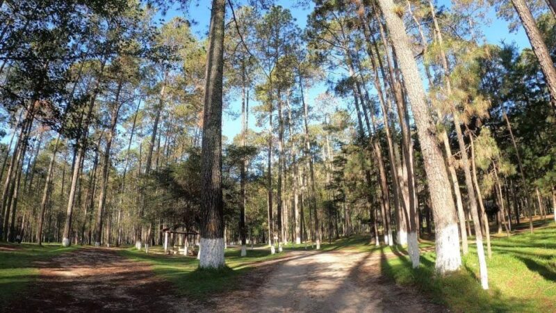 San Cristobal: Rancho Nuevo Caves and Arcotete Tour - Inclusion and Recommendations