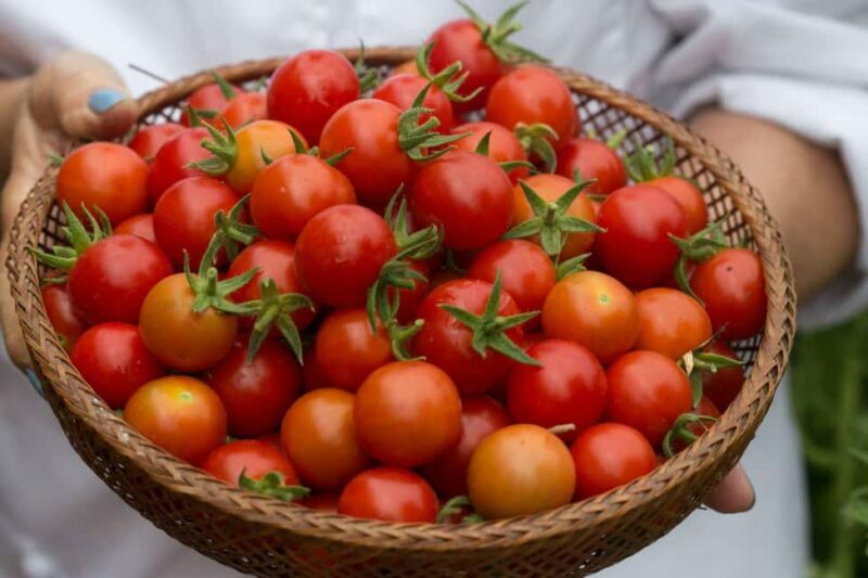 San Diego: 2-Hour Pasta Cooking Class at a Local Brewery - FAQ