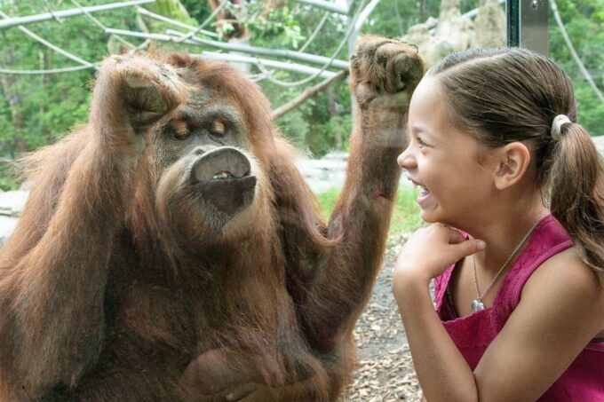 San Diego: All-Inclusive Pass With 50+Attractions - Customer Experiences and Ratings