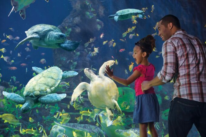 San Diego: All-Inclusive Pass With 50+Attractions - Frequently Asked Questions