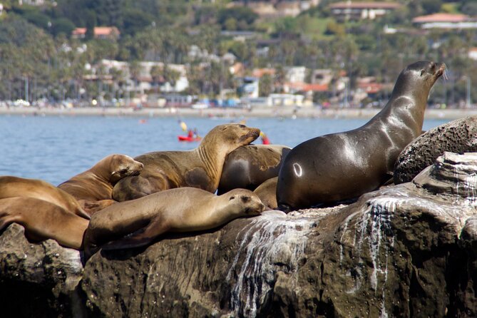 San Diego, and La Jolla Scenic Private Tour From Los Angeles. - Customer Feedback and Support Services