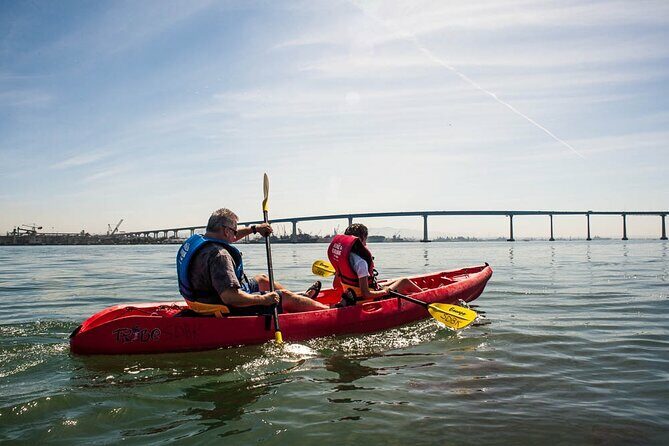 San Diego Bay 1.5-Hour Guided Kayak Tour in Coronado - Practical Tips for Participants