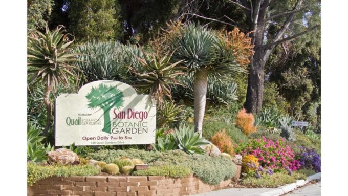 San Diego Botanical Garden Entry Ticket and Transportation - Tranquil Gardens and Relaxation