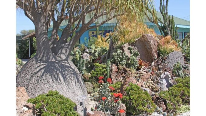 San Diego Botanical Garden Entry Ticket and Transportation - Seasonal Transformations and Enchantment