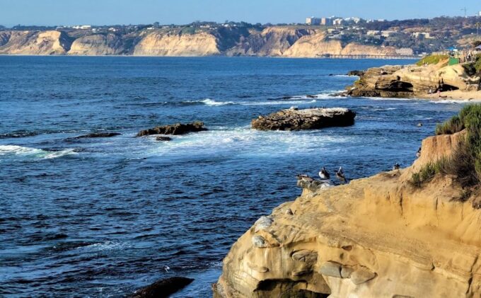 San Diego: City and Beaches Guided Highlights Tour - Frequently Asked Questions