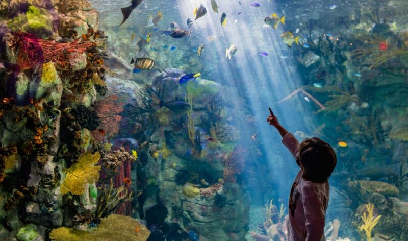 San Diego: CityPASS® Save up to 45% at Must-See Attractions - Reservation Process