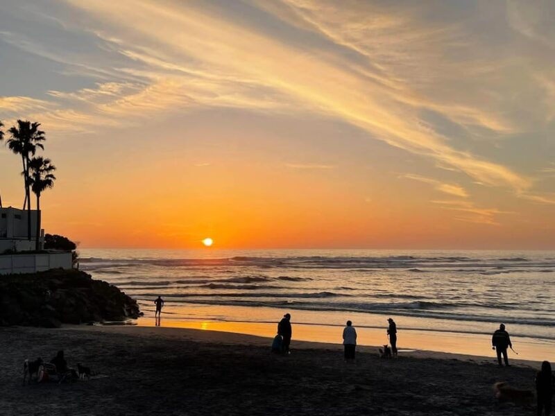 San Diego: Custom Guided Motorcycle Tour - Motorcycle Rental Suggestions