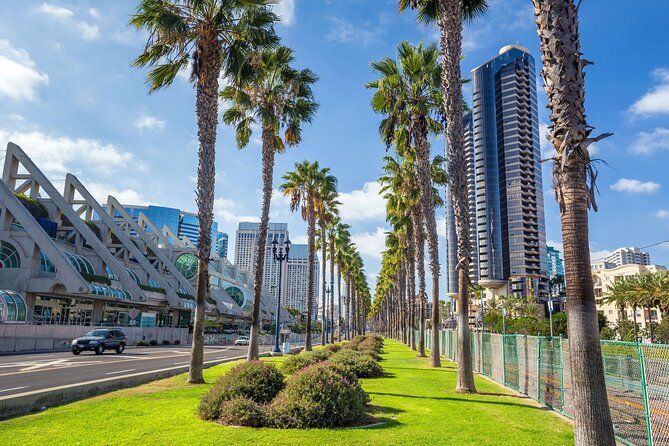 San Diego : Custom Walking Tour With a Local Guide (Private Tour) - Accessibility Information