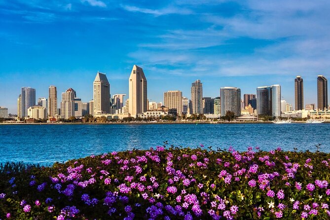 San Diego : Custom Walking Tour With a Local Guide (Private Tour) - Local Transportation and Guide
