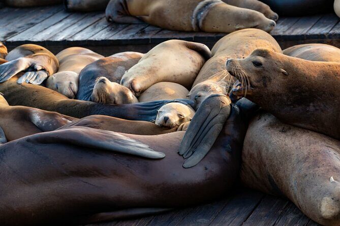 San Diego Day Tour from Orange County - Key Points