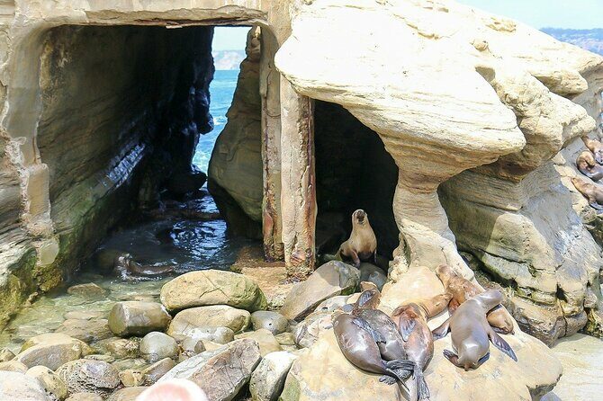 San Diego Day Tour from Orange County - A Closer Look at the Itinerary