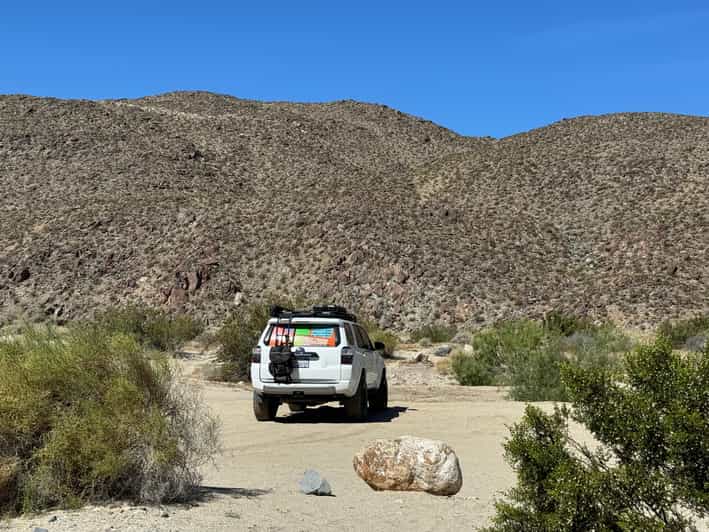 San Diego Desert: Full Day Small Group 4x4 Truck Tours - Discovering Desert Wildflowers and Petroglyphs