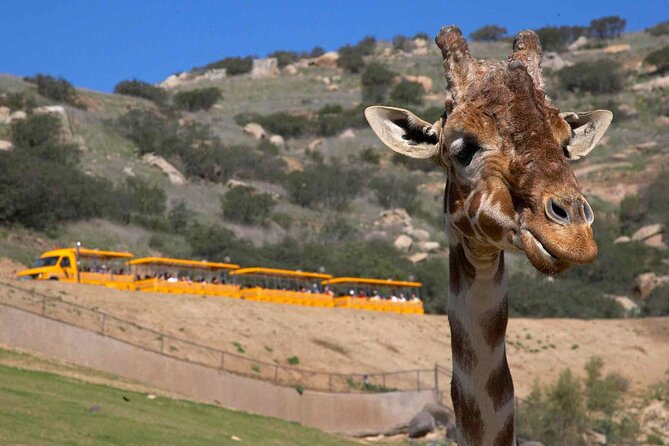 San Diego Explorer Pass: 2 to 7 Things to Do Including Zoo - Availability and Validity of the Pass