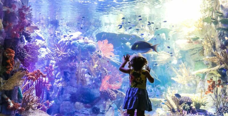 San Diego Explorer Pass: Tickets to 2-7 Attractions - FAQs