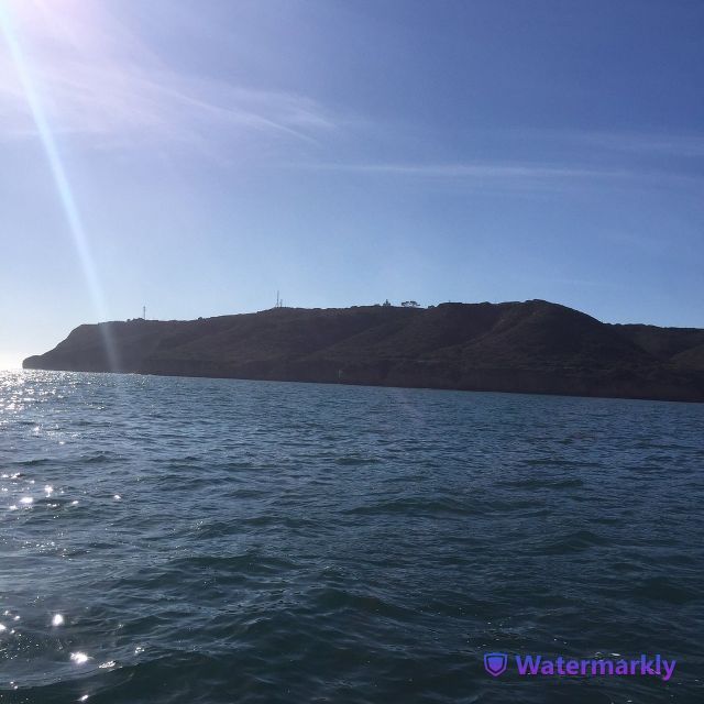 San Diego: Half-Day Marine Wildlife Tour With Lunch - Itinerary Details