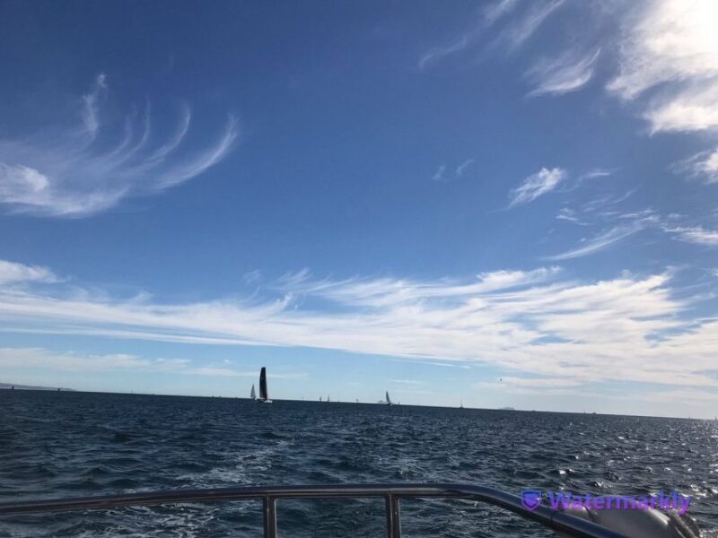 San Diego: Half-Day Marine Wildlife Tour With Lunch - Customer Feedback