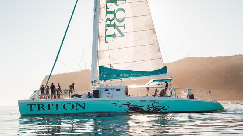 San Diego Harbor Cruise: 2.5 hour Catamaran Cruise - Key Points