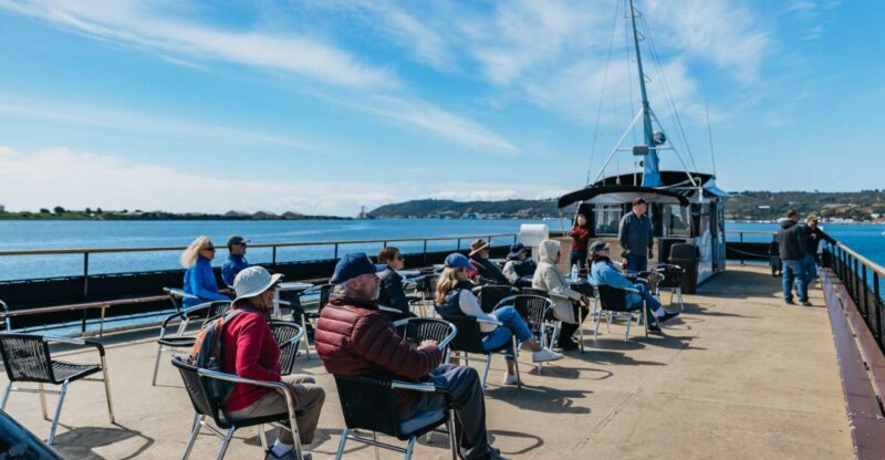 San Diego: Harbor Cruise - Experience and Highlights