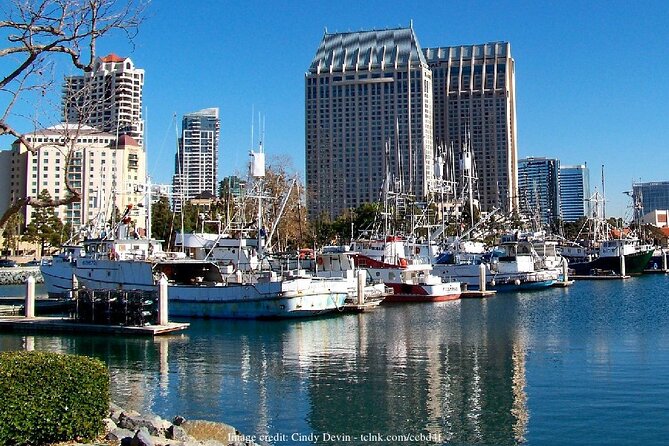 San Diego in a Day: Private Full-Day Highlights Driving Tour - Pricing and Cancellation Policy