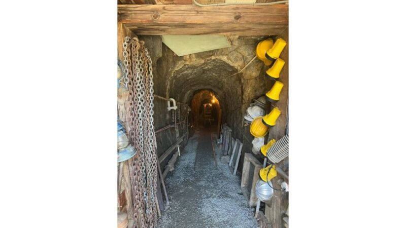 San Diego: Julian Gold Mine and Pie Tour - Key Points