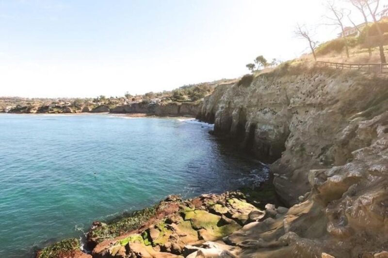 San Diego: La Jolla Cove Guided Snorkeling Tour - Age and Weight Restrictions