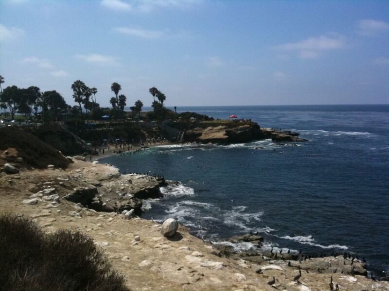 San Diego: La Jolla Summit to Sea Bike Tour - Important Information