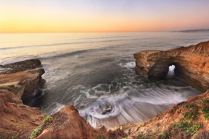 San Diego Life at the Beach Tour - Discovering La Jollas Marine Wonders