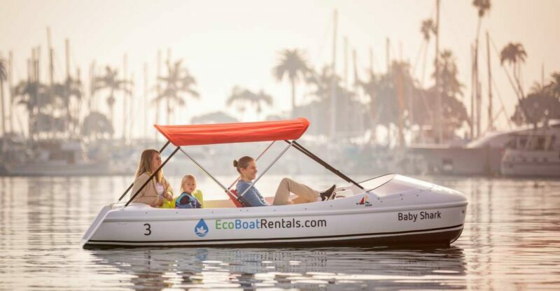 San Diego: San Diego Bay Dog-Friendly Eco Pedal Boat Rentals - Practical Tips for Your Trip