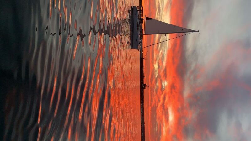San Diego: San Diego Bay Sunset & Daytime Sailing Experience - Sailing Highlights