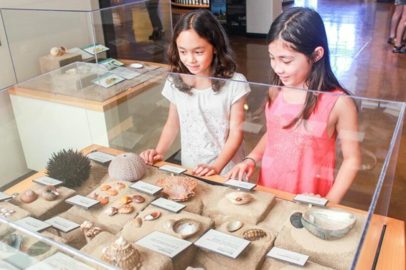 San Diego: San Diego Natural History Museum Ticket - Who Will Love This Experience?