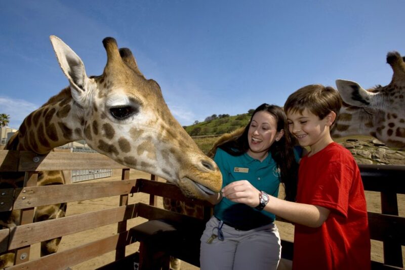 San Diego: San Diego Zoo Safari Park 1-Day Ticket - Guided Tours and Animal Shows