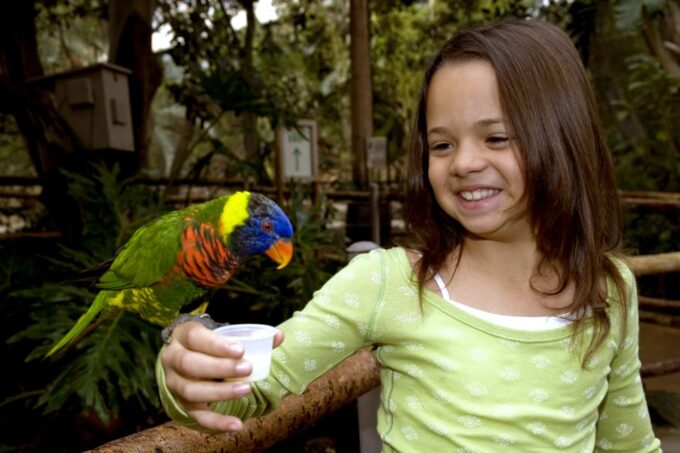 San Diego: San Diego Zoo Safari Park 1-Day Ticket - Accessibility and Amenities