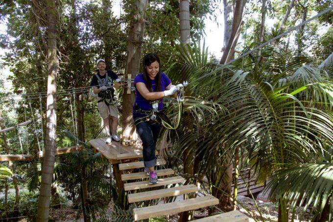 San Diego: San Diego Zoo Safari Park 1-Day Ticket - Planning Your Visit