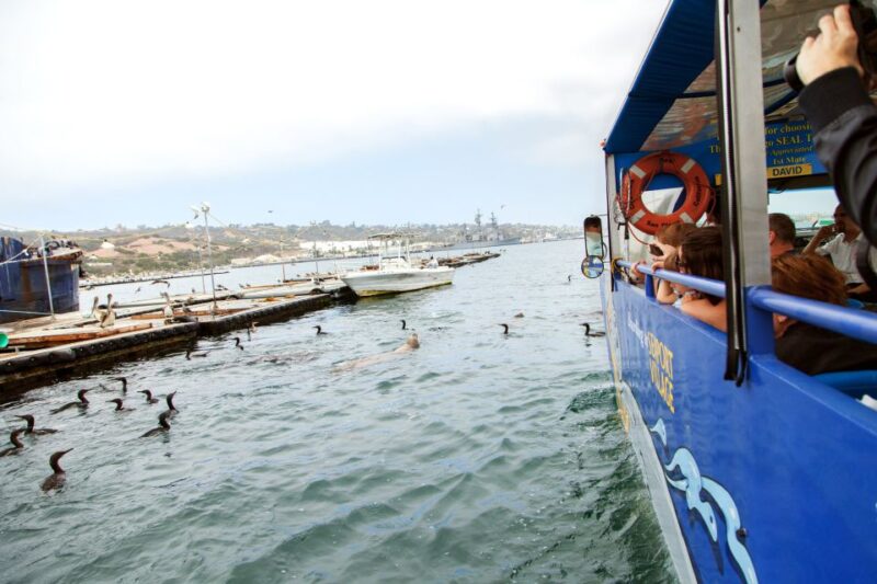 San Diego: SEAL City Tour by Amphibious Bus - Wildlife Sightings