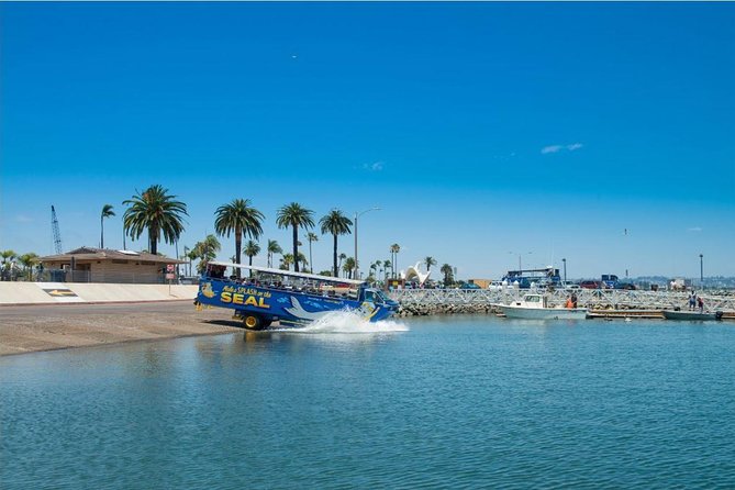 San Diego Seal Tour - Departure Point and Itinerary