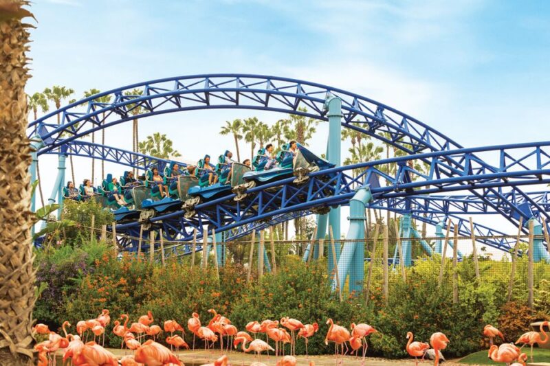 San Diego: SeaWorld Skip-the-Line Park Admission Ticket - Key Points