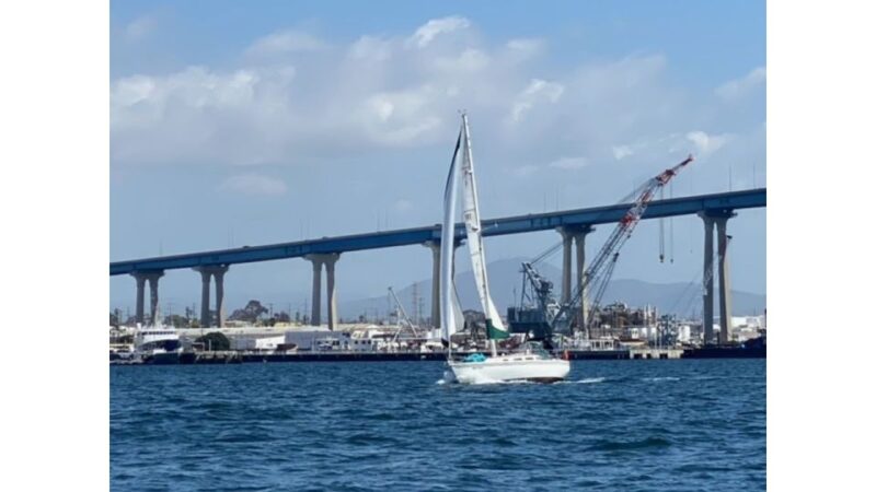 San Diego: Sunset and Day Sailing Excursion With Drinks - Highlights and Sightings