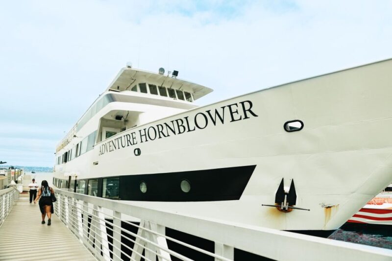 San Diego: Whale and Dolphin Watching Cruise - Whale and Dolphin Sighting Opportunities