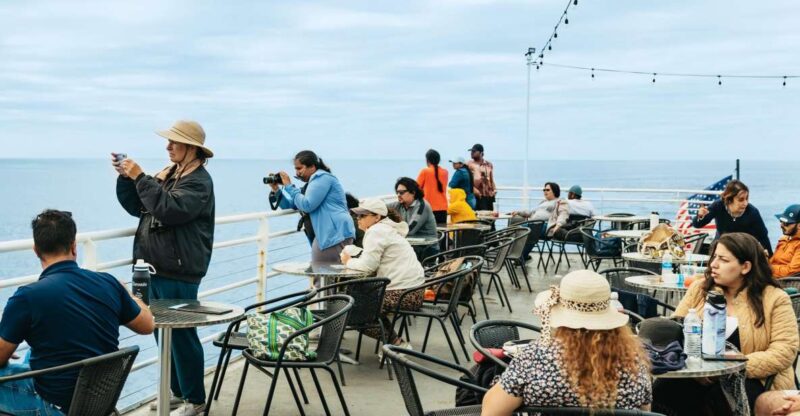San Diego: Whale and Dolphin Watching Cruise - Educational Experience