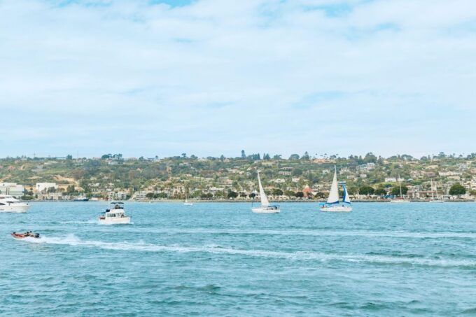 San Diego: Whale and Dolphin Watching Cruise - Cruise Duration and Pricing