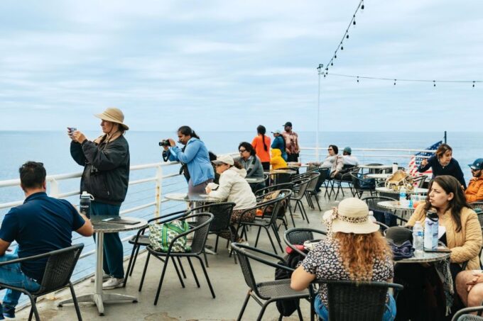 San Diego: Whale and Dolphin Watching Cruise - Guaranteed Sightings and Refund