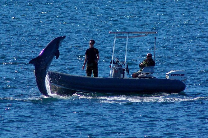 San Diego Whale Watching Cruise - Ensuring a Comfortable Voyage