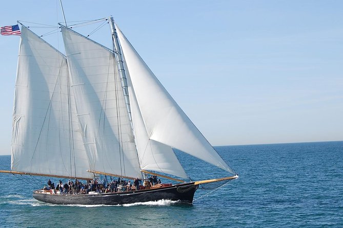 San Diego Whale Watching Cruise - Accessibility and Requirements